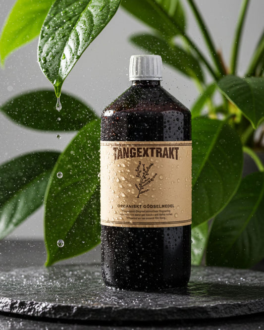 Tångextrakt - Original